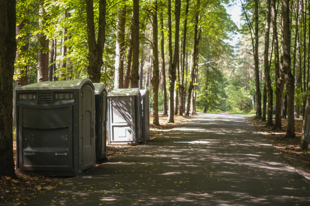 Portable Toilet Options We Offer in Springfield, MI